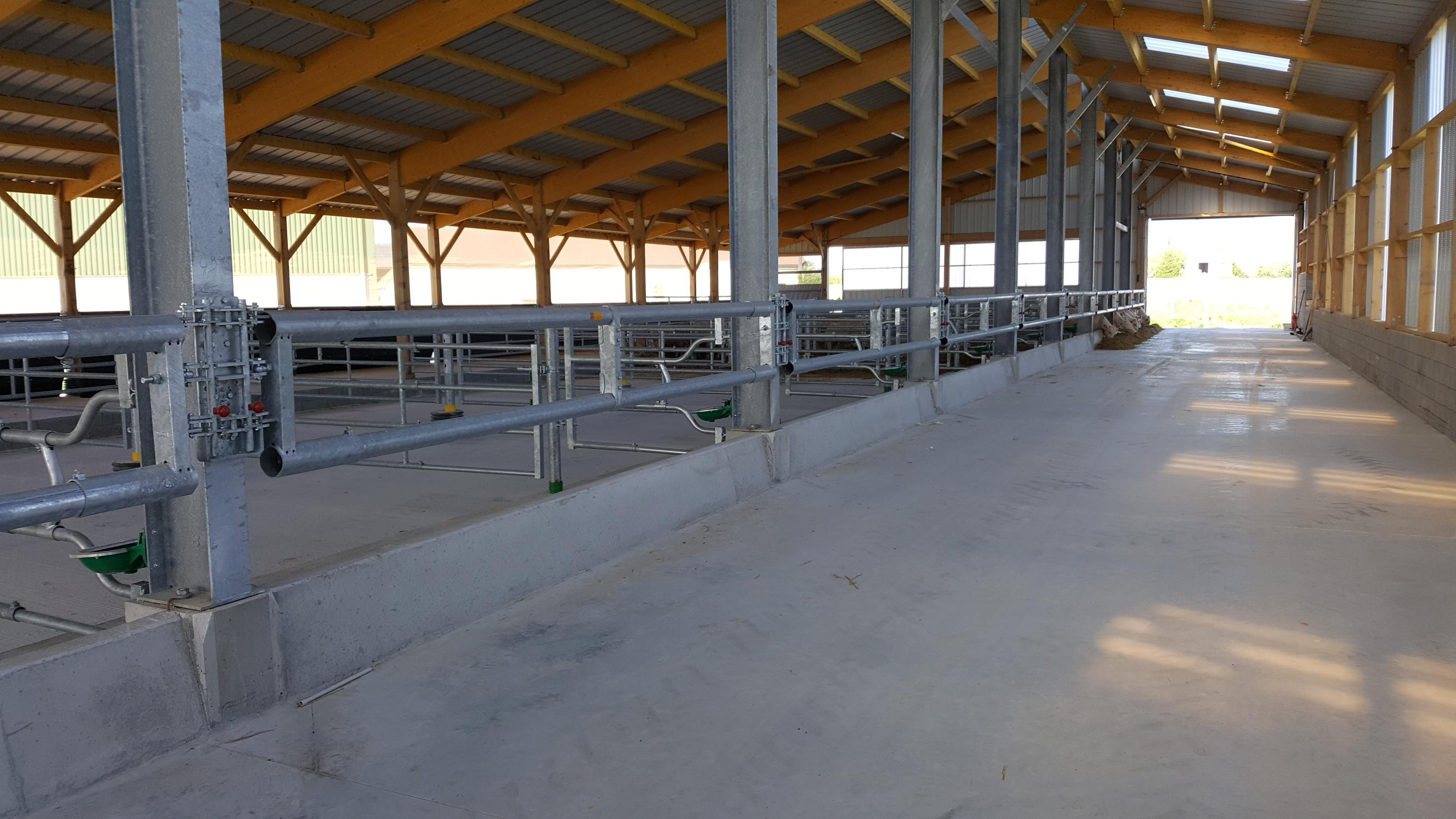 engraissement 20190514 093200